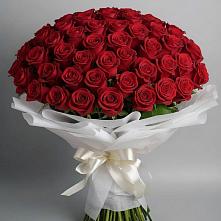 Букет 101 Красная роза Блэк Мэджик #REPLACE_PRED# Мирном