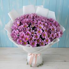 Букет цветов из:  Хризантемы в Мирном
