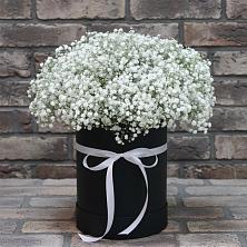 Цветочная композиция из Гипсофила в шляпной коробке в Мирном