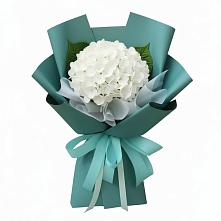 Букет цветов из:  Гортензия в Мирном